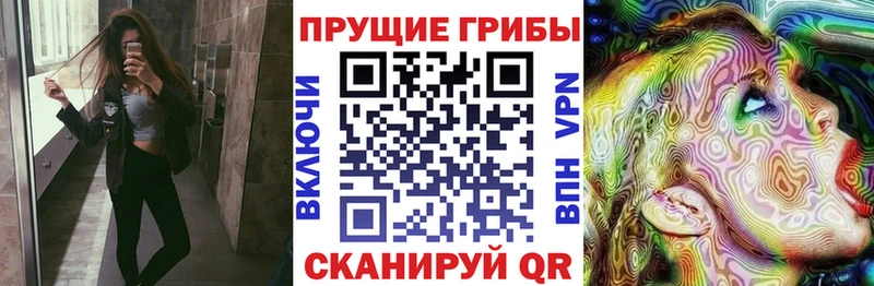 Галлюциногенные грибы MAGIC MUSHROOMS Черкесск