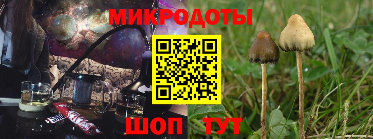 Черкесск  Галлюциногенные грибы Cubensis  Вход с VPN 