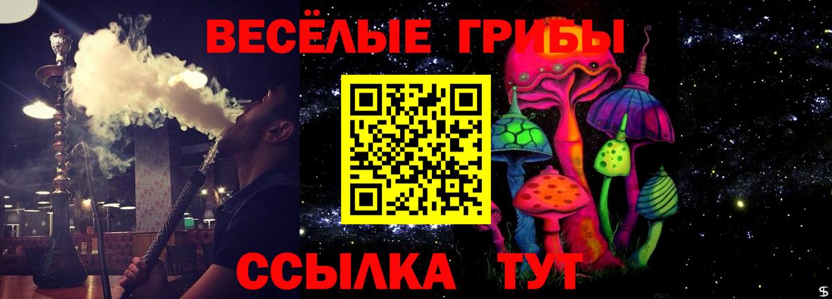 Псилоцибиновые грибы MAGIC MUSHROOMS Черкесск
