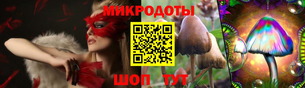 Псилоцибиновые грибы Psilocybine cubensis  Черкесск  где купить   Псилоцибиновые грибы Cubensis 