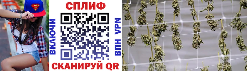 Канабис Ganja  Черкесск 