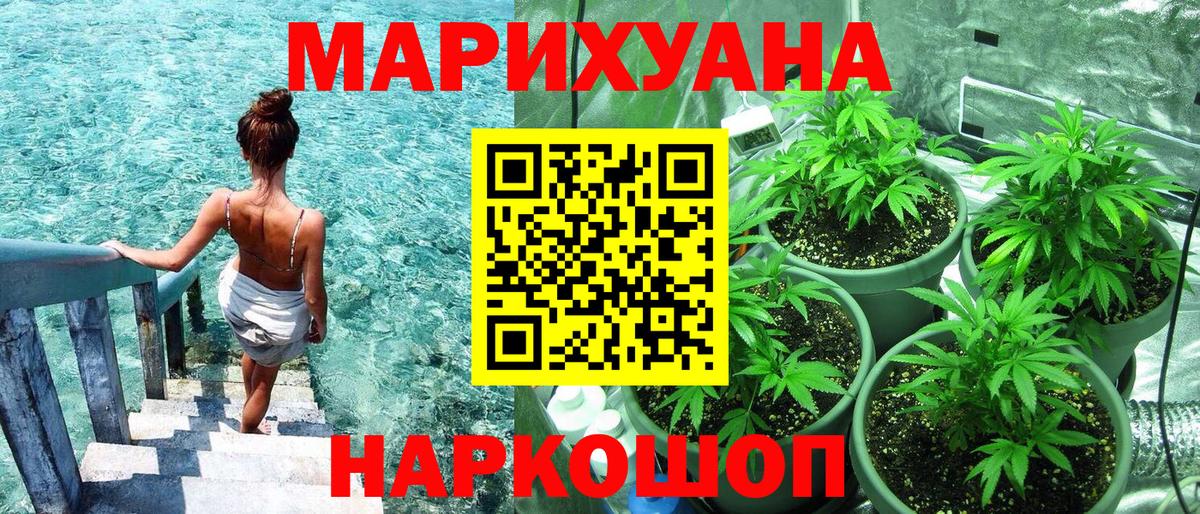 МАРИХУАНА OG Kush Черкесск